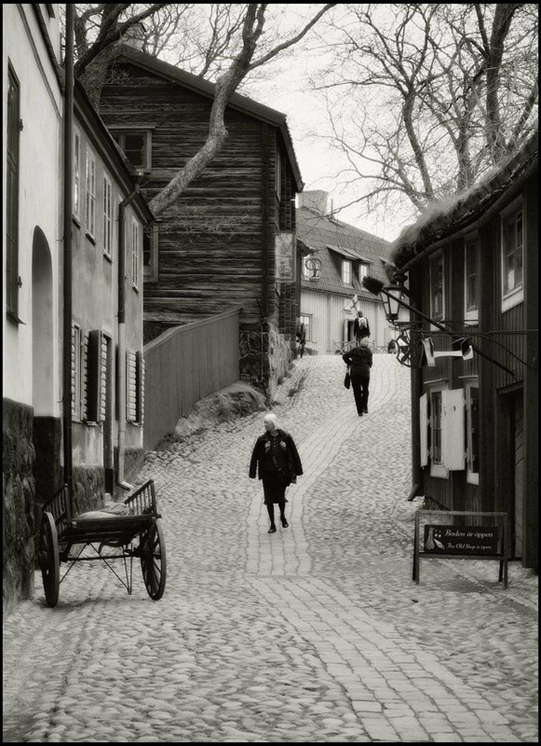 швеция, стокгольм, скансен, Андрей Литов