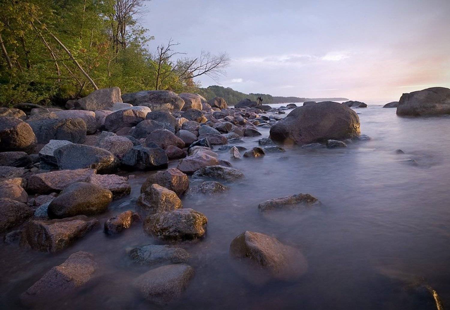 , Игорь Вишняков