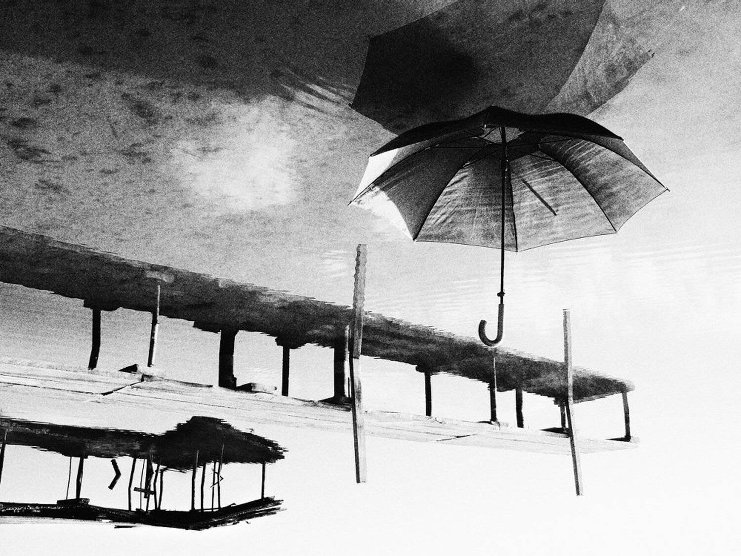 , Максим Евдокимов