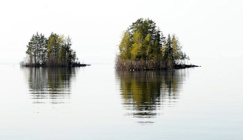 молоко фото превью