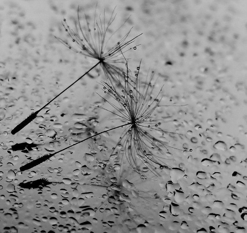 ......dance with me....... фото превью