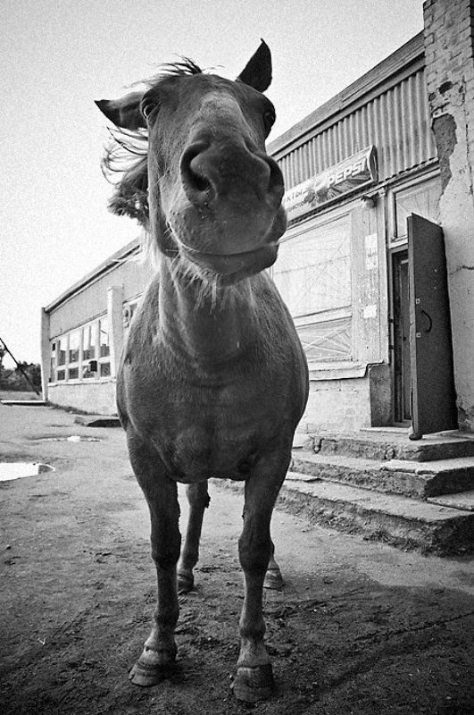 * * * * * фото превью