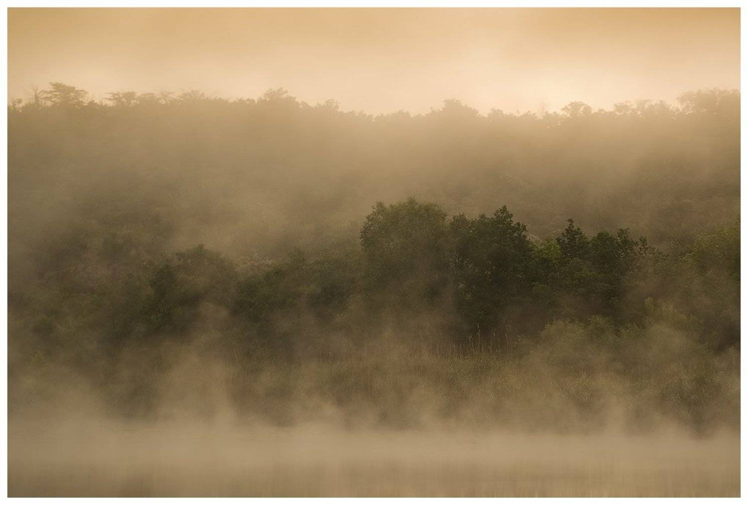 , Денис Кривой
