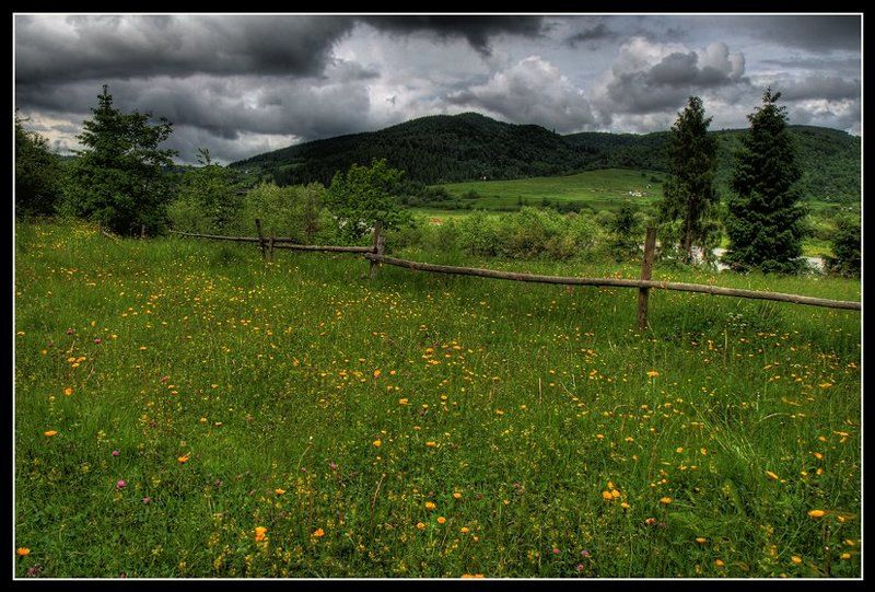 долина, изгородь, цветы, лес *** фото превью