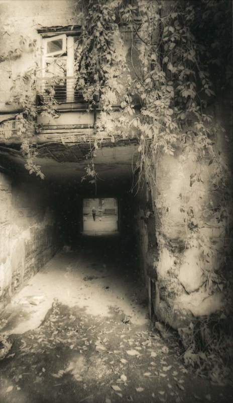 окна, дворики, виноград улица детства IX фото превью