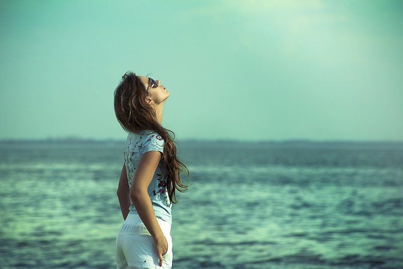 Чайка фото превью