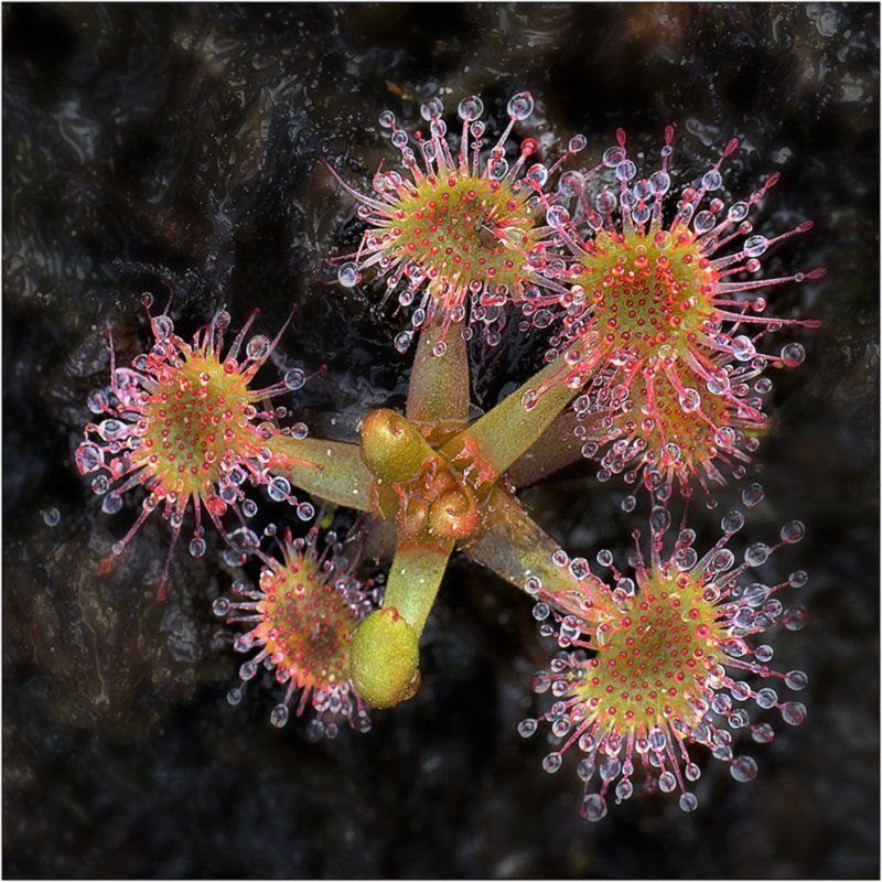 Взрыв... фото превью