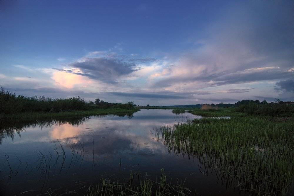 , Александр Титаренко