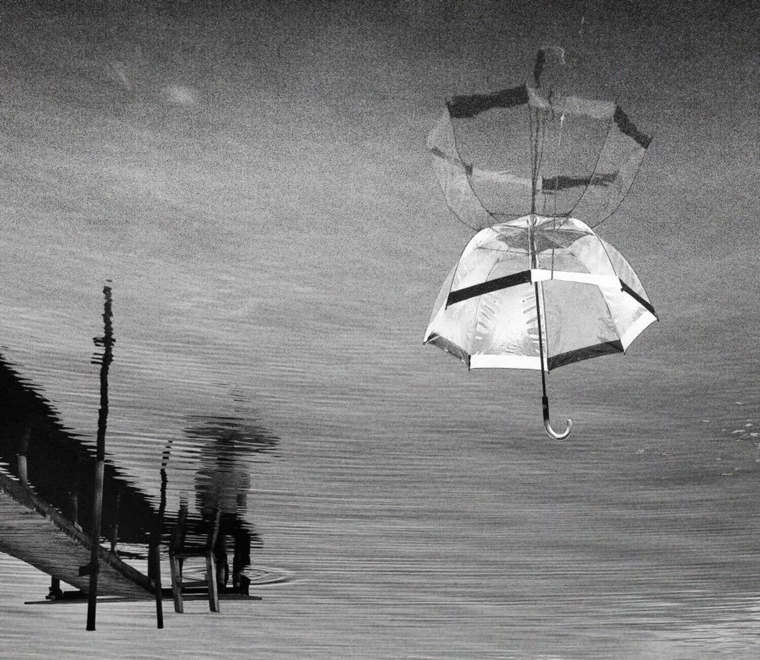 , Максим Евдокимов