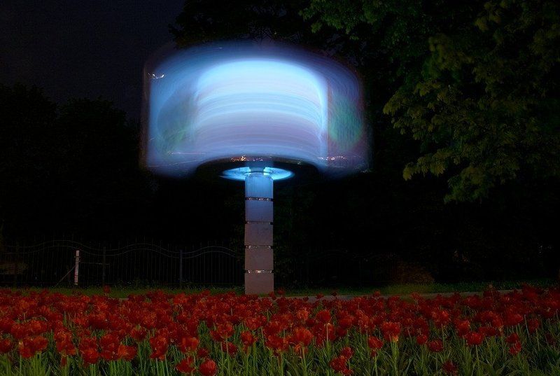 Чтоб цвели тюльпаны ночью фото превью