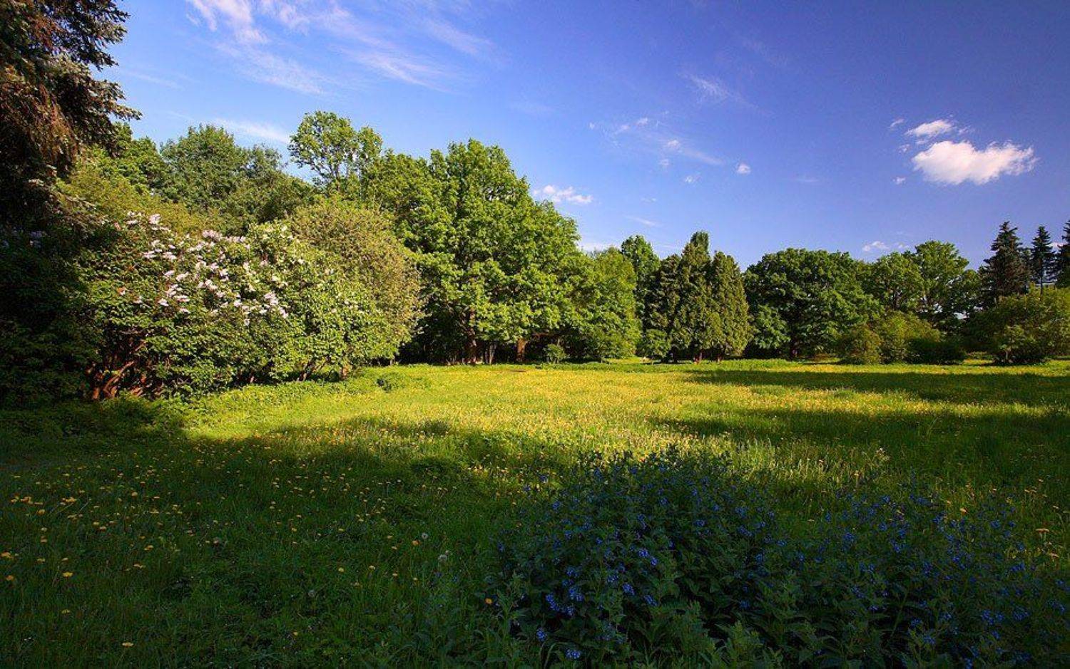 ботанический, сад, Дмитрий