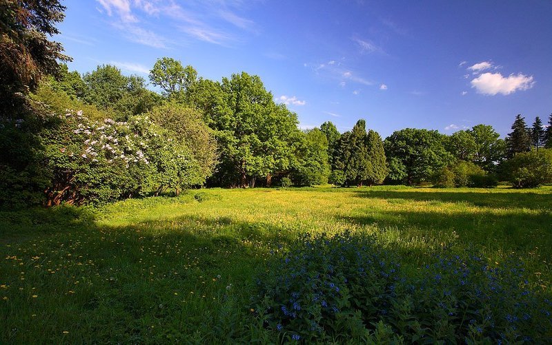 ботанический, сад *** фото превью
