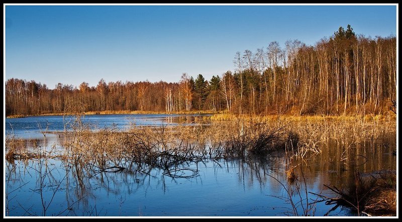 unilost фото превью