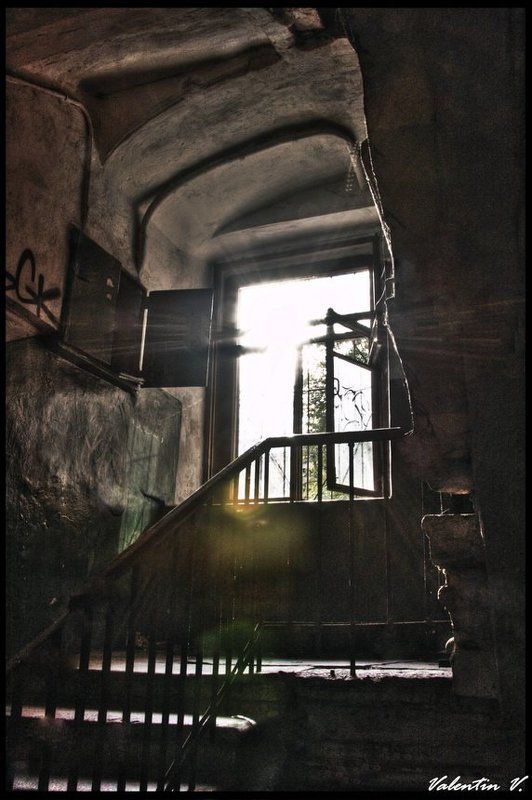 в питерском доме на сенной фото превью