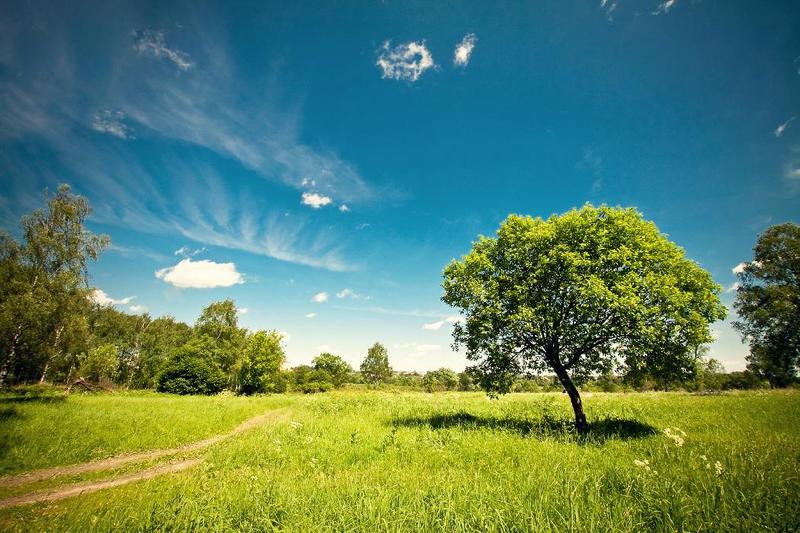 однажды летом фото превью