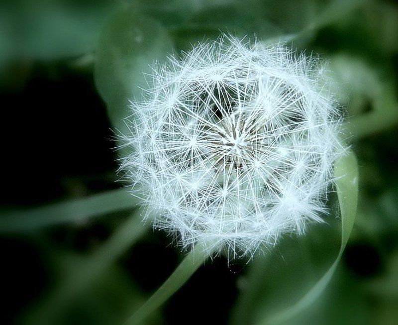 Без ветра... фото превью