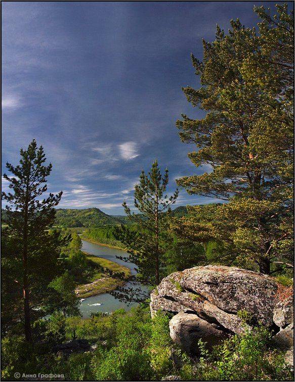 алтай, горная колывань, рудный алтай, сосны, река белая,  аня графова, Аня Графова