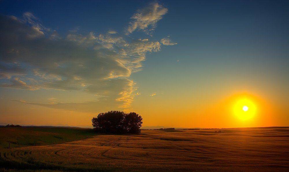 sun, sunset, summer, Michael Latman