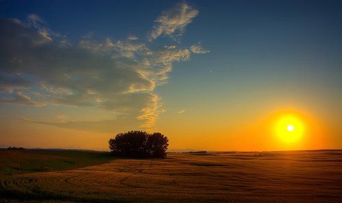 Star which name is Sun