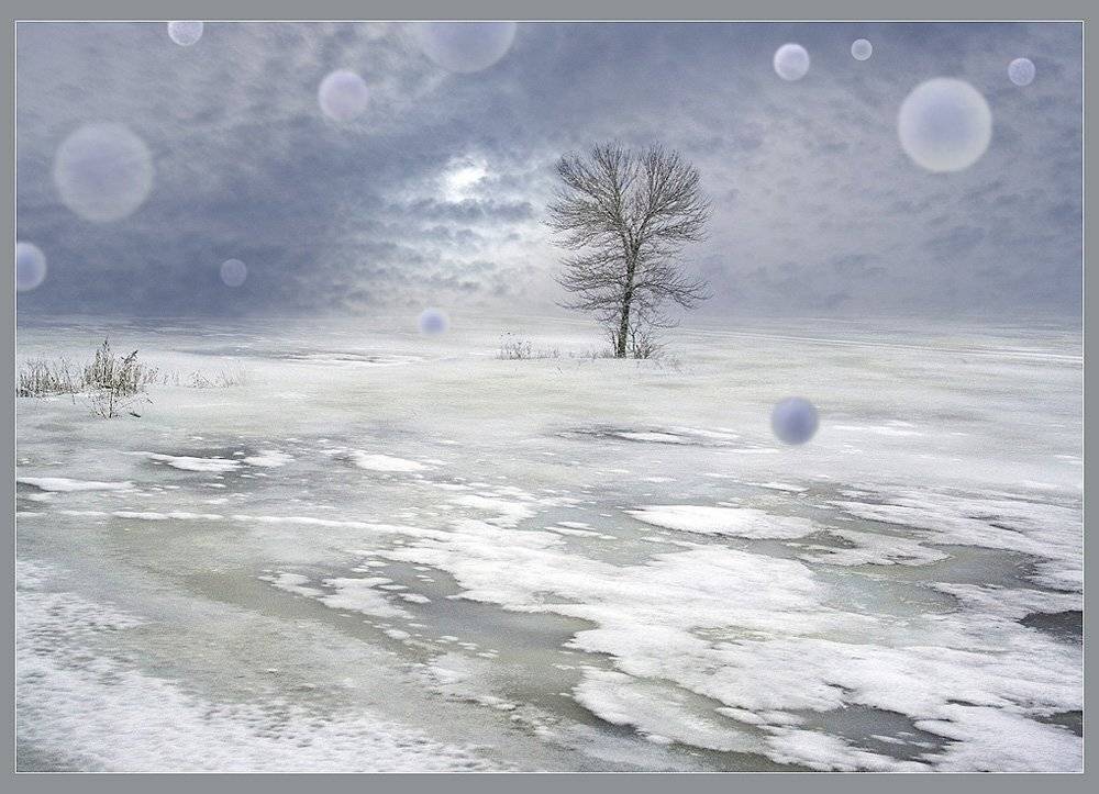 абстракция, пейзаж, снег, настроение, дерево, Светлана