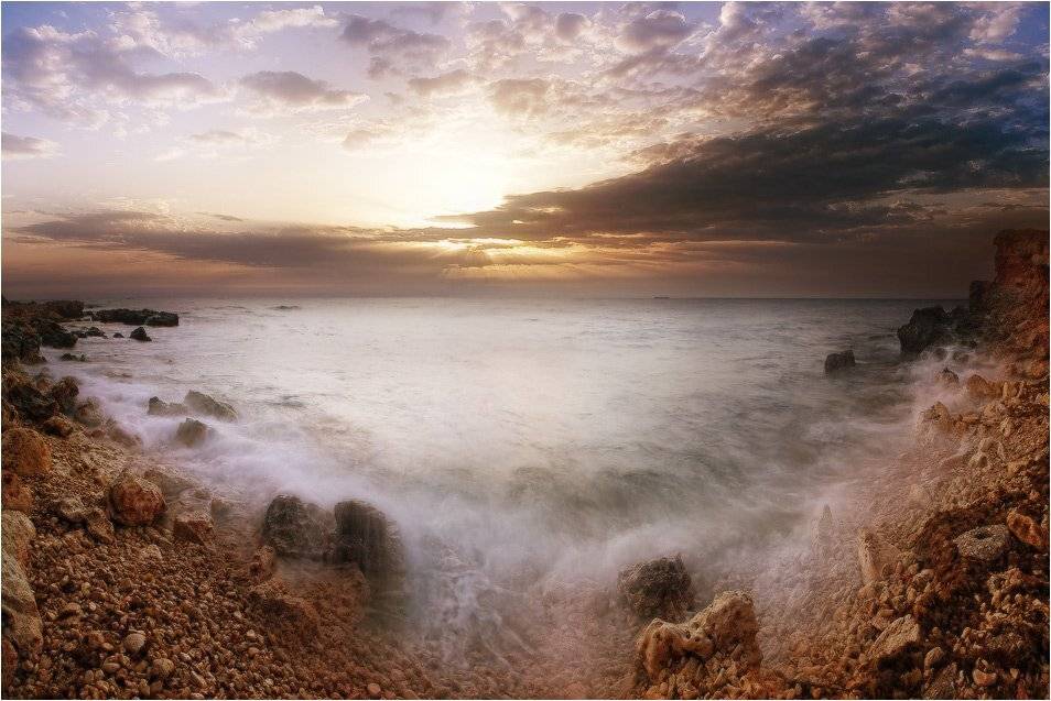 , Яна  Гайворонская