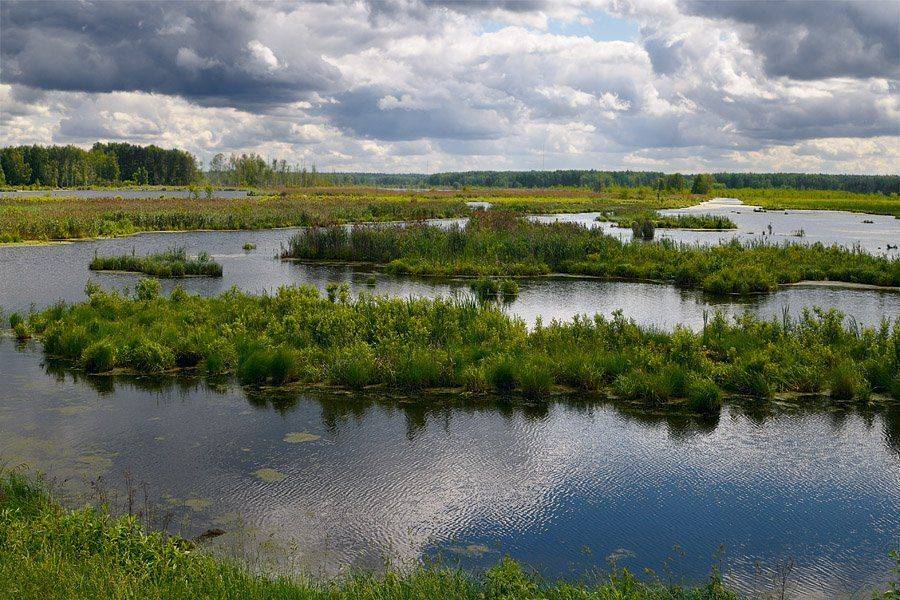 россия, москва, лосиный остров, река яуза, торфяные болота, Kaiser Sozo