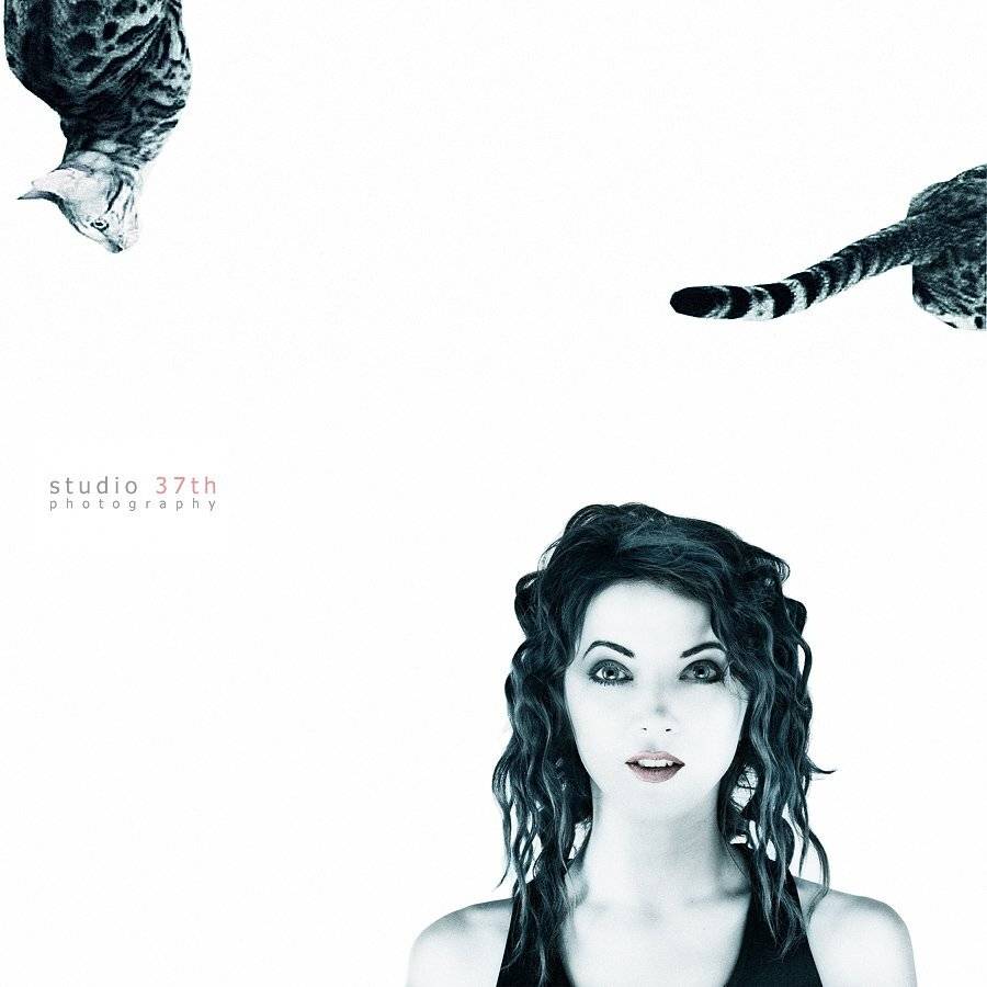 , Alexander Mikhailenko