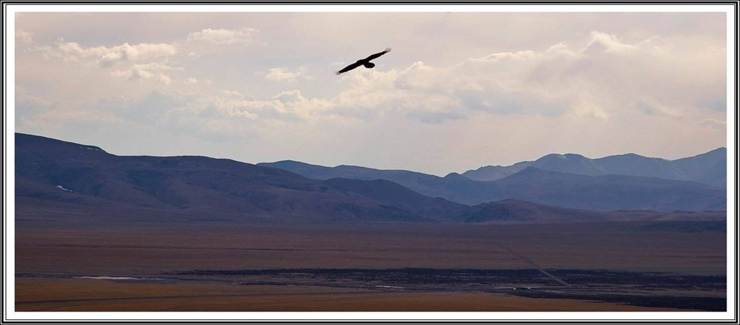 тибет, кайлас, Vladimir