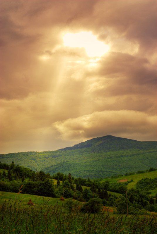 Свет фото превью