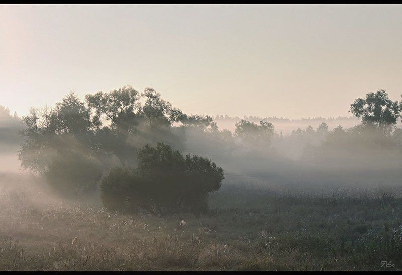 Ёжика не искатЬ... фото превью