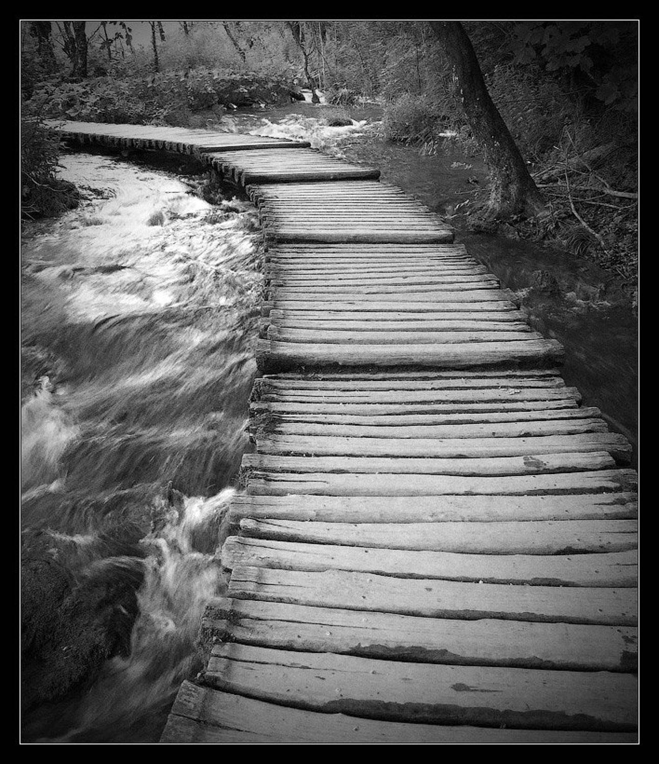 , Андрей Кобыща