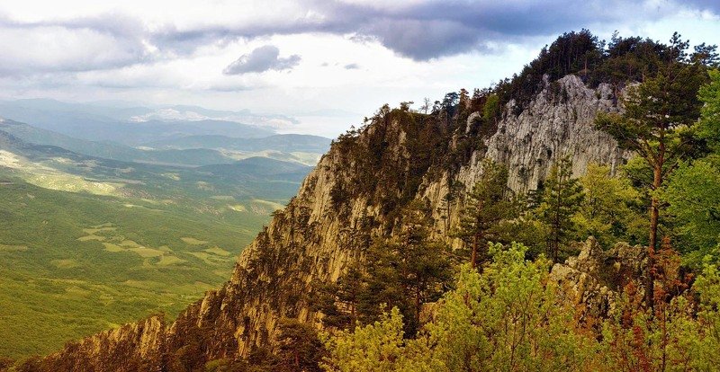 И на камнях растут деревья фото превью