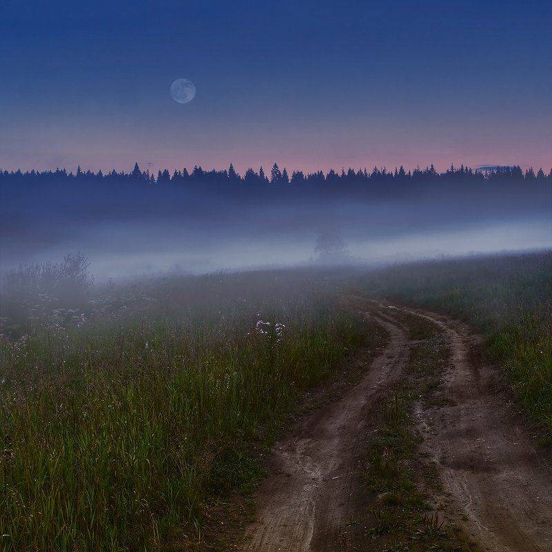 поле, вечер, луна, дорога, трава, пейзаж, Oleg Dmitriev