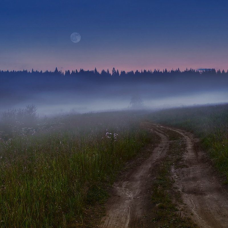поле, вечер, луна, дорога, трава, пейзаж Дорога в никуда... фото превью
