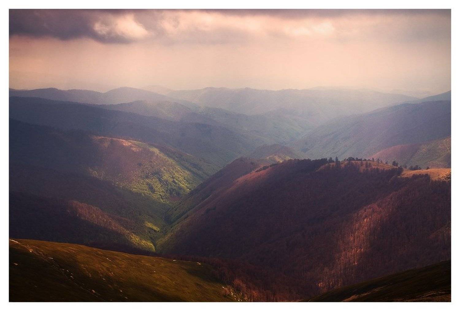 , Денис Кривой