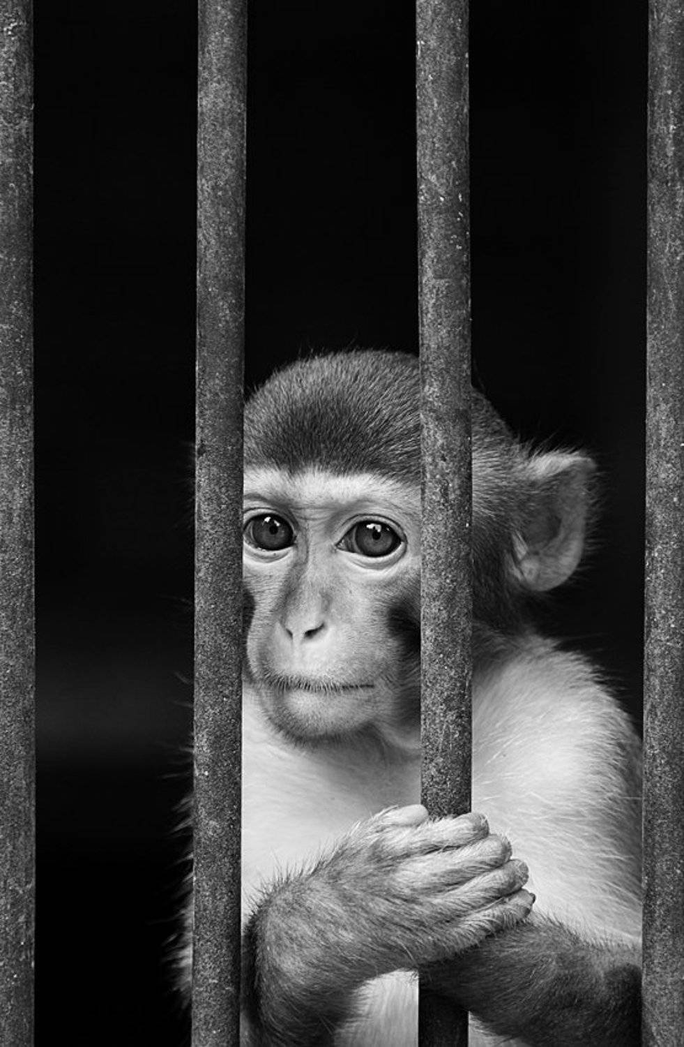 , Виталий Мазурин