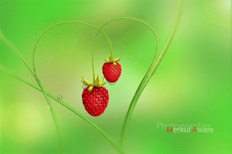 Love is... фото превью