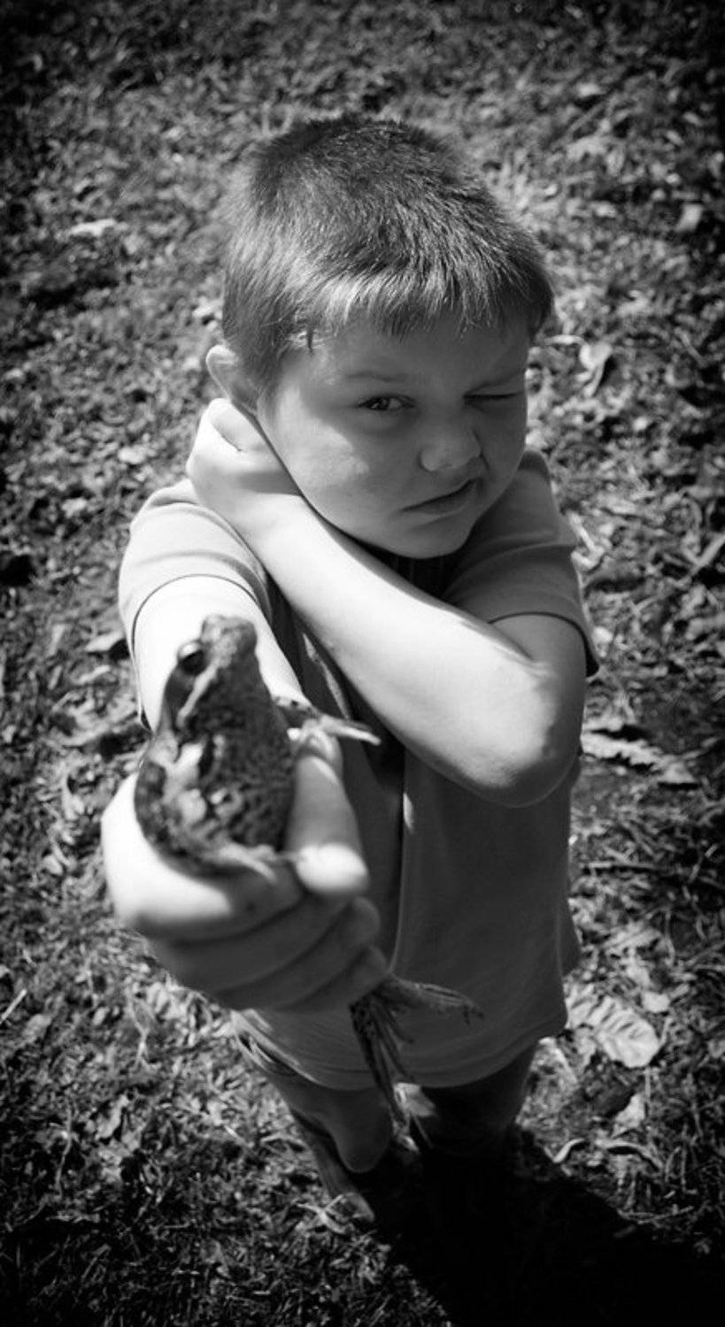 , Александр Петренко