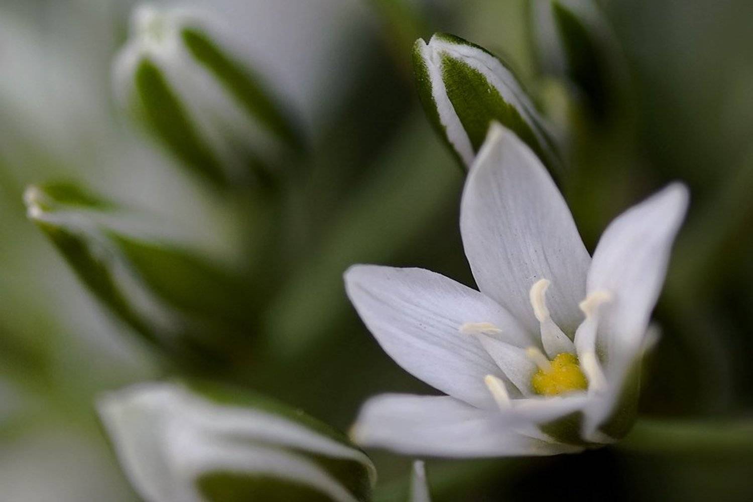 , Игорь Вишняков