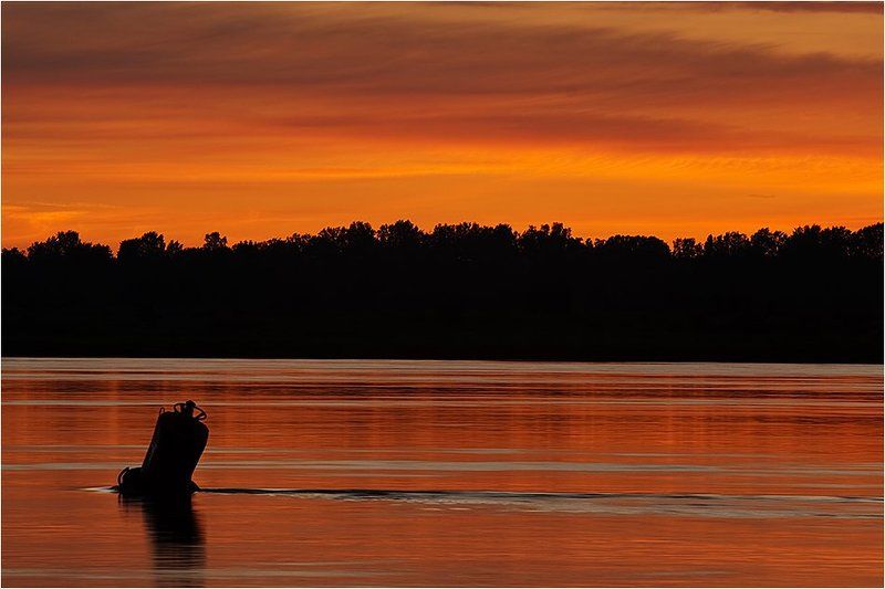 волга, река, рассвет, утро ... фото превью