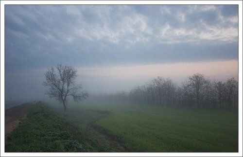 Сонное утро...