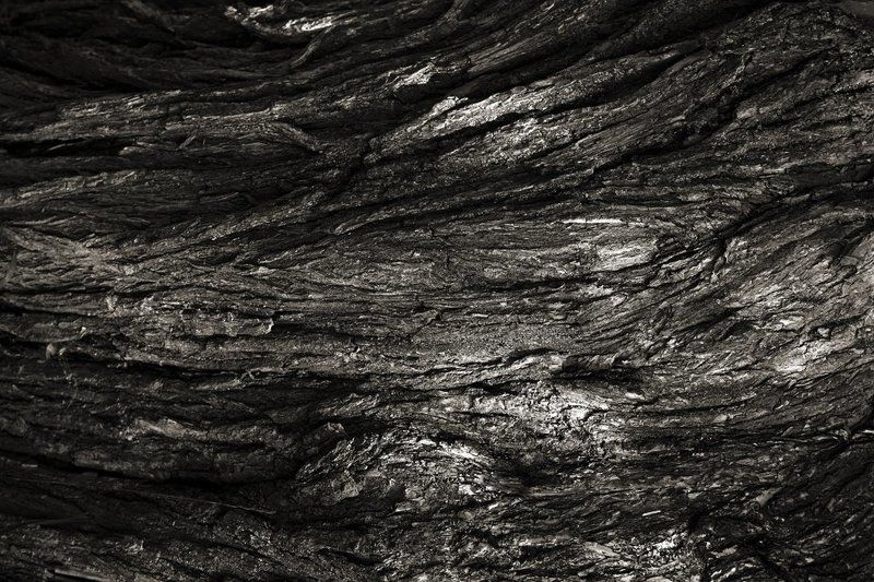 Мудрость фото превью