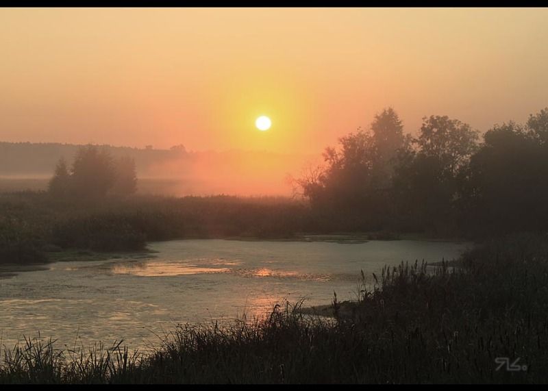 утро, туманное На зорькЕ фото превью