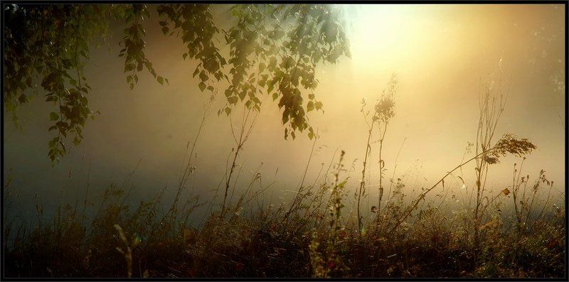 когда ты утром тихо встанешь... фото превью