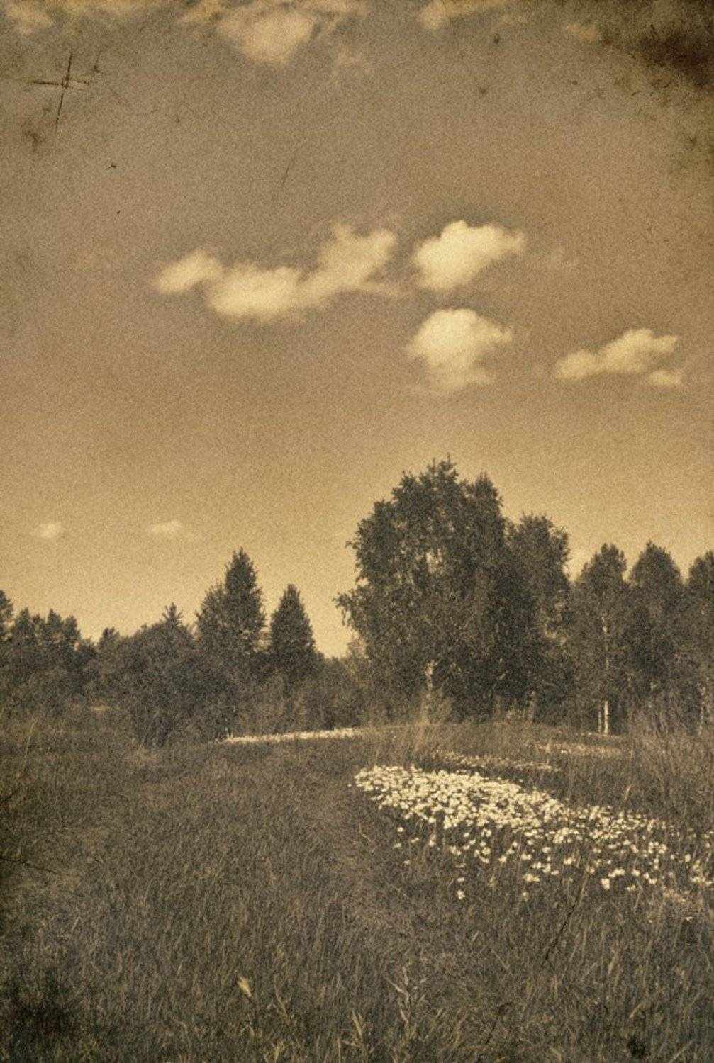 , Алексей Семенихин