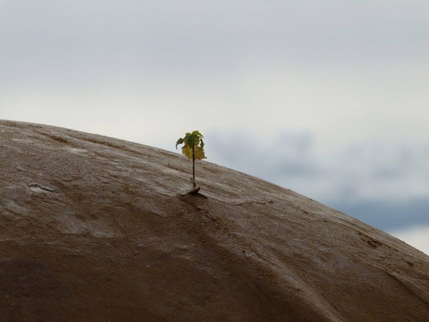 , Alexsandra Debolskaj