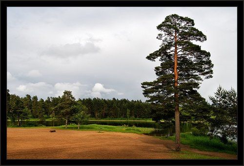 Толони озеро. Три пейзажные зарисовки.