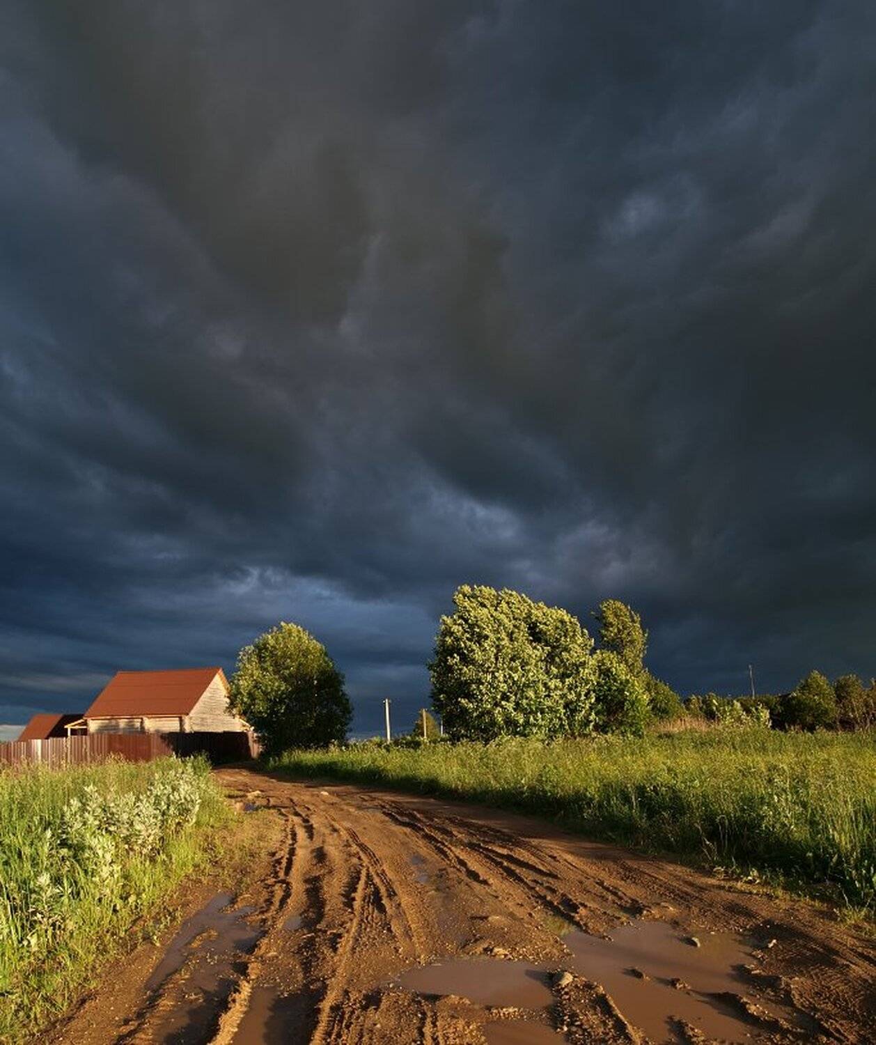 , Максим Евдокимов