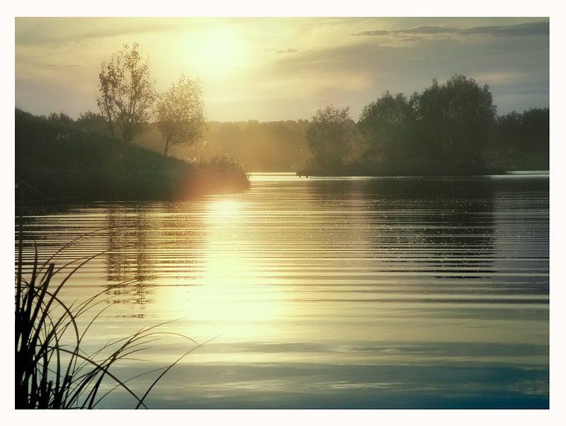 * * * фото превью