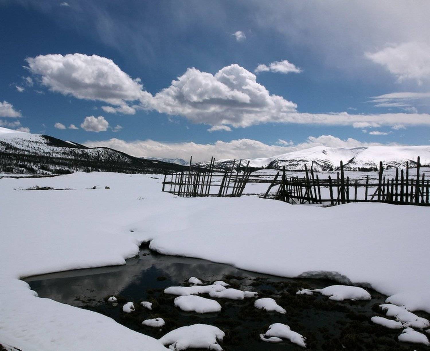 алтай,улаган., Олег